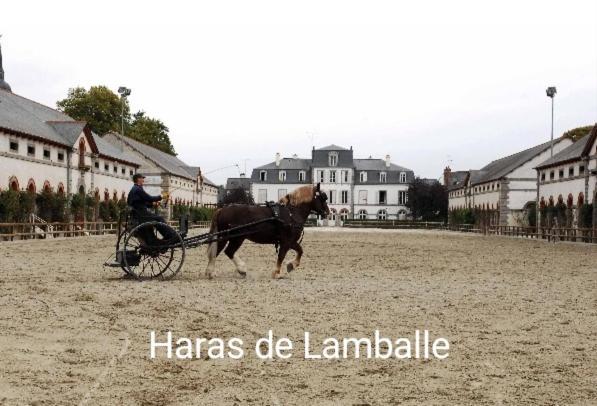 Perle Rare, Appartement Paisible Et Cosy Lamballe Eksteriør bilde